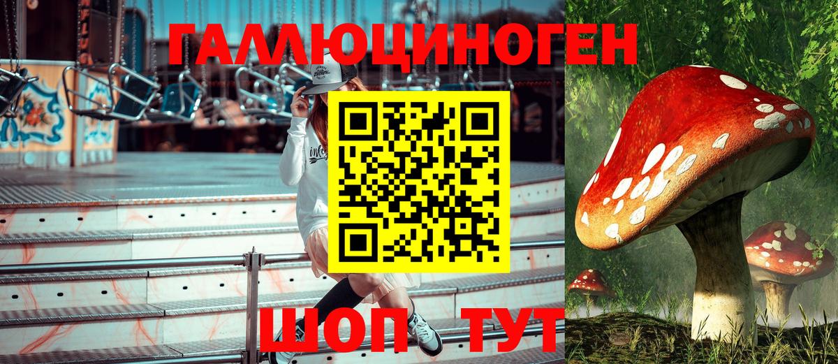 Галлюциногенные грибы прущие грибы Канаш